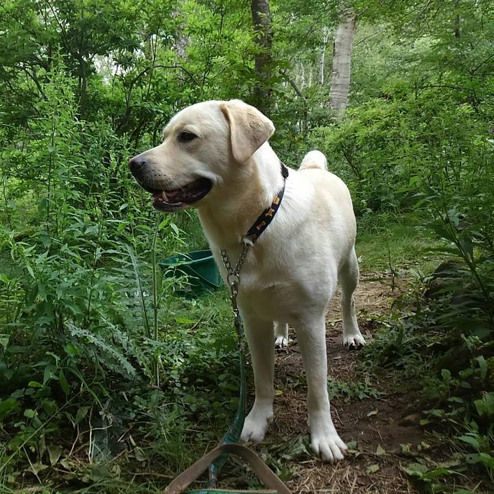 249d7e55 4cd8 4c01 b0c4 88e9dc664538