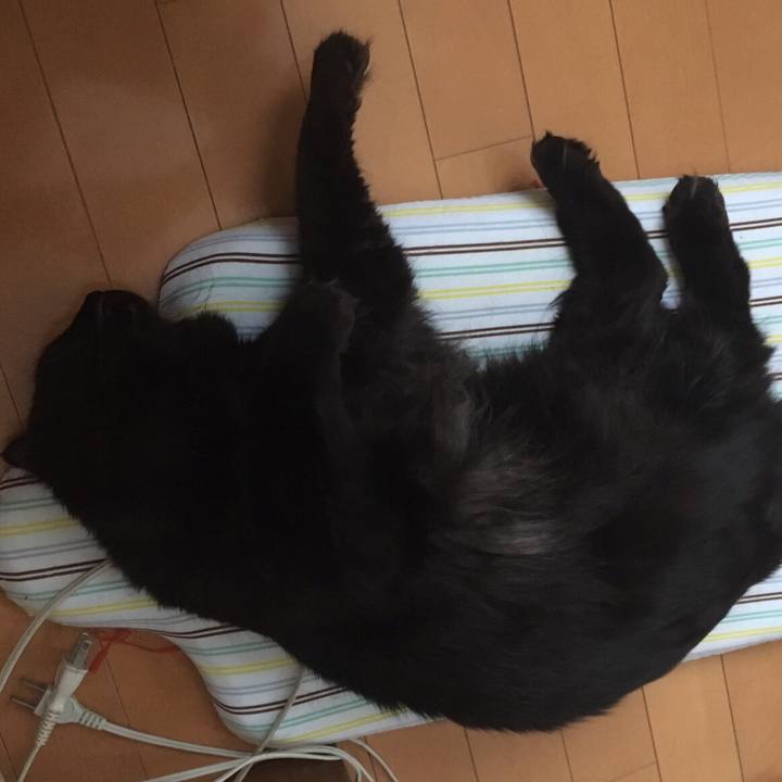 249d991c 4906 43d9 9bef 738cbf36d81d