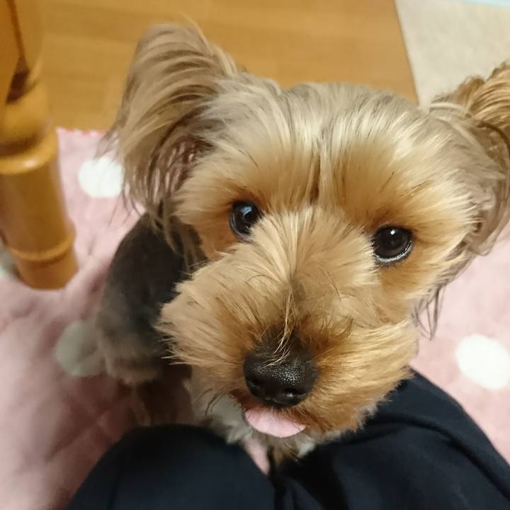 249e119f a5c5 4b2b 8be4 b803184cfbed