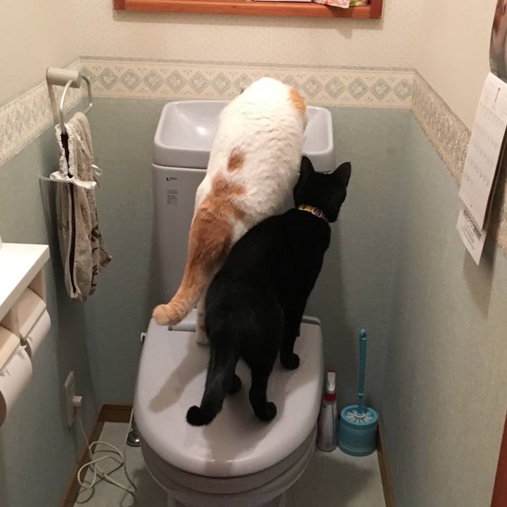 249e23b0 3a51 4ddf aa52 002b15d07857