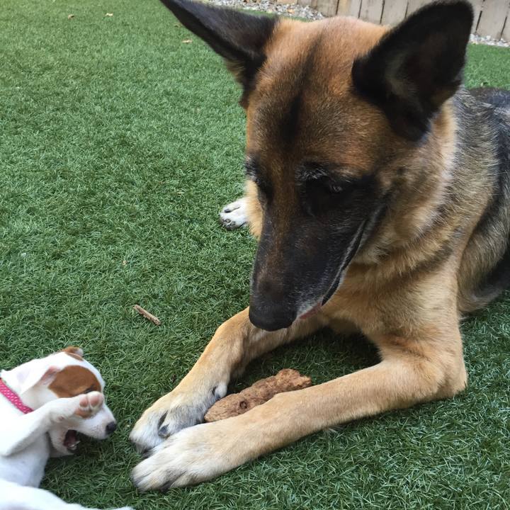 249e5699 0460 4de3 bbed 8d2fd88e5977