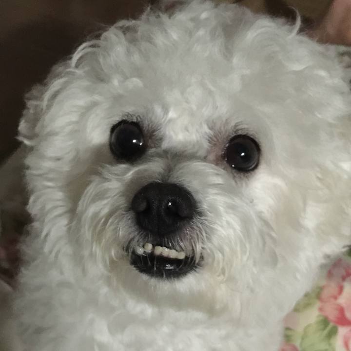 249f18d7 32b1 42cd 89c4 949c2a8332c8