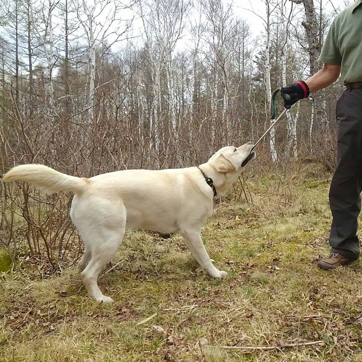 249f3435 4d18 467a af8d 08c631128b90