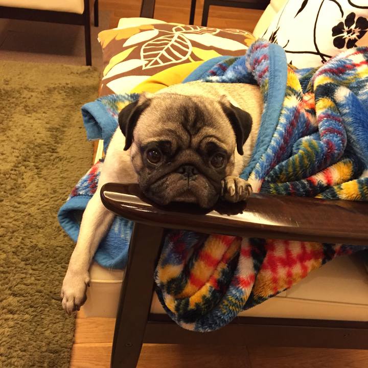 249f61f6 8774 470f 9dad 71de917668ae