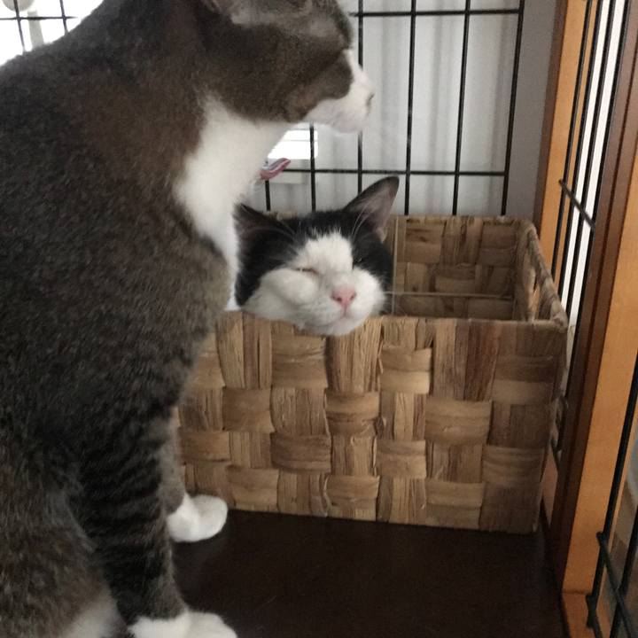 24a01ffe 076e 4e35 a363 2a60762c210a