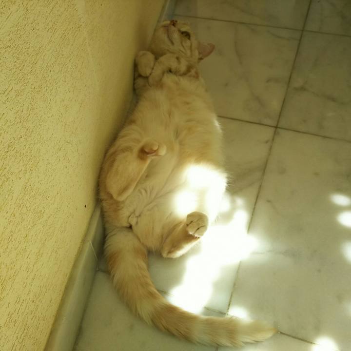 24a03497 e516 4c3e bb6f c876d16c9577