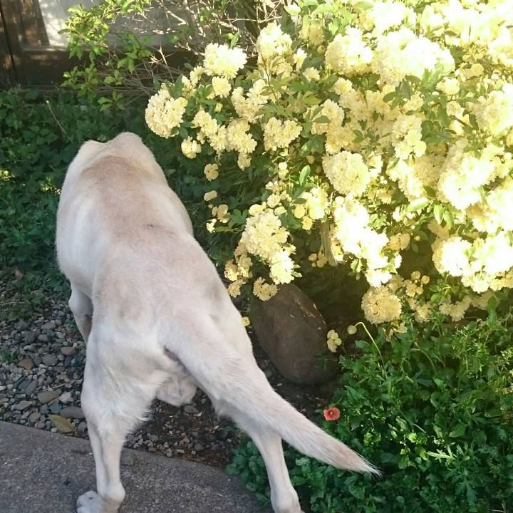 24a09d1d d848 4721 a535 7efbdab773ea