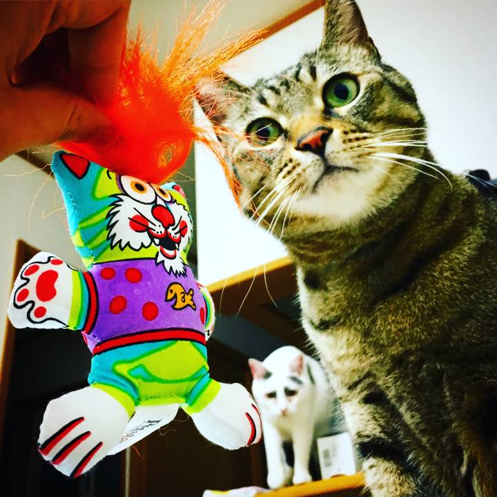 24a0c9a8 049c 4095 a1c3 4364bd0eaf26