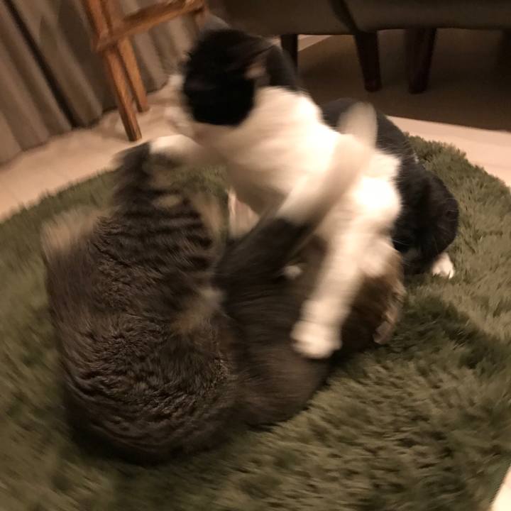 24a0d8e8 6a0c 48e2 8dc2 da43d5b59ce1