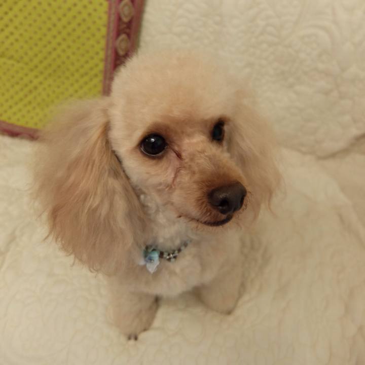 24a0df85 d287 44b8 994f 86306d1b588e