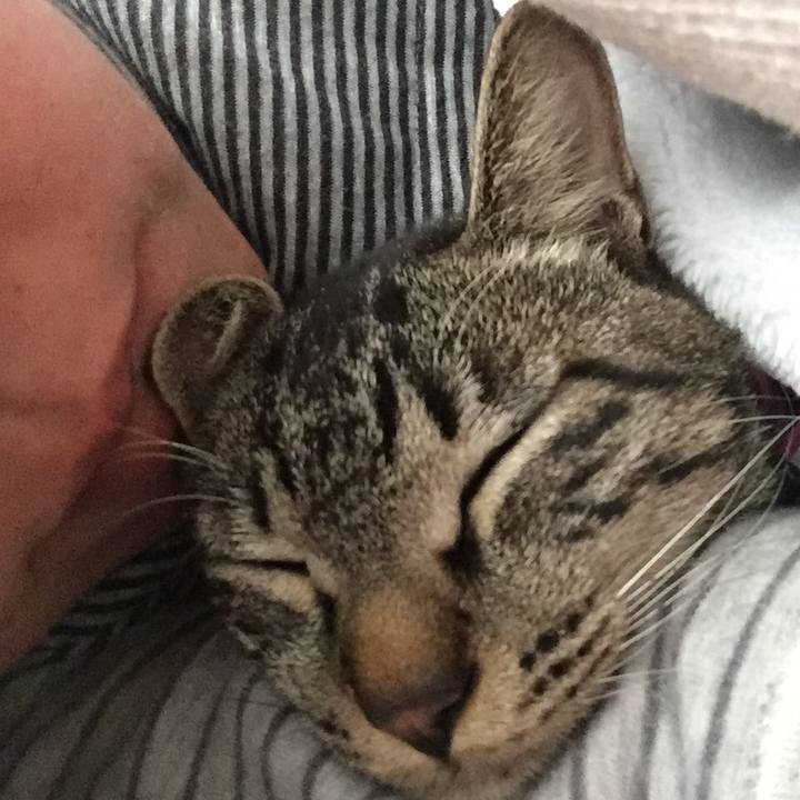 24a0f19c e3f6 42c2 a152 2d80c8e0ed0b