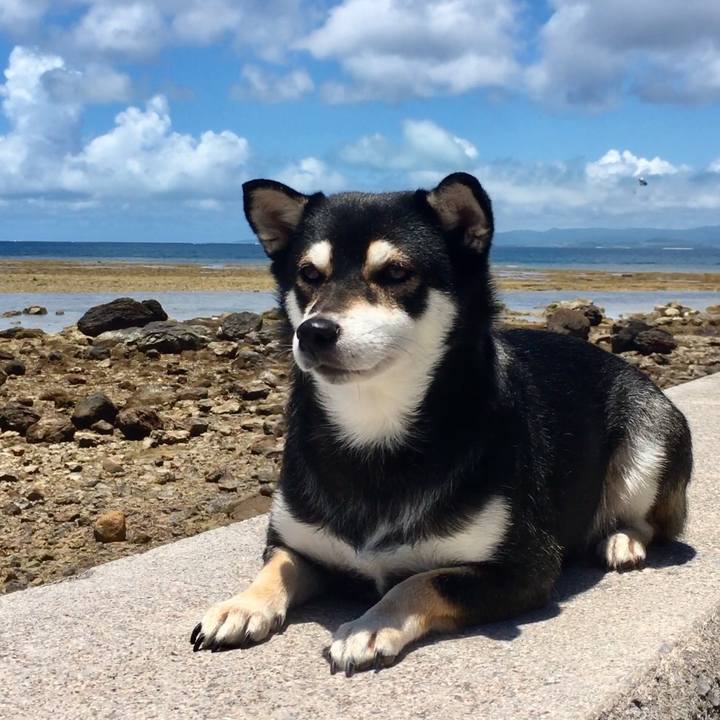 24a14e97 96c5 4015 a587 1941cdde3a66