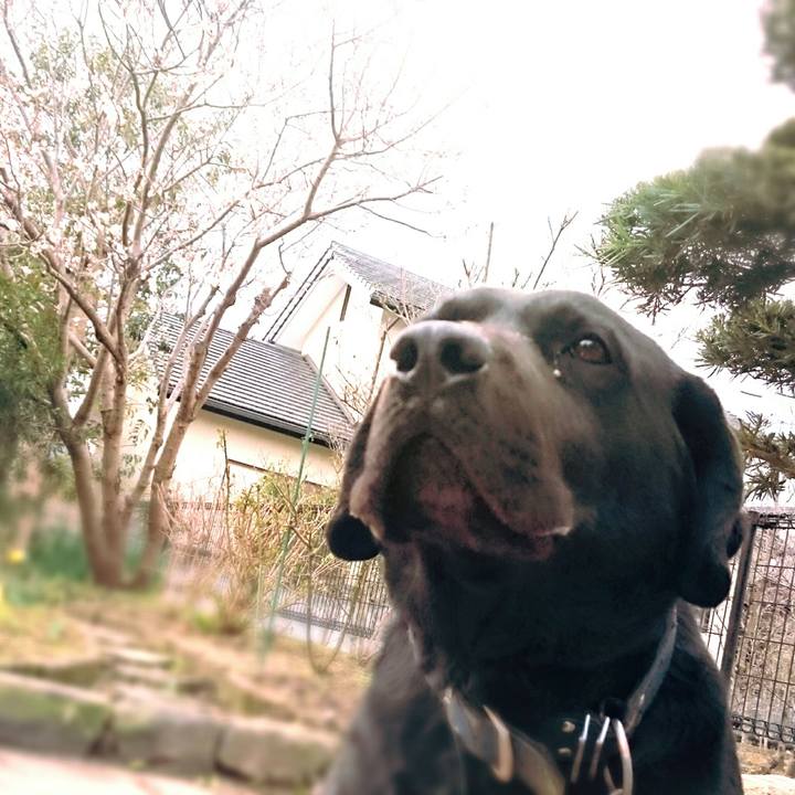 24a2337b f87a 45cc 9ff2 ba8a37359684