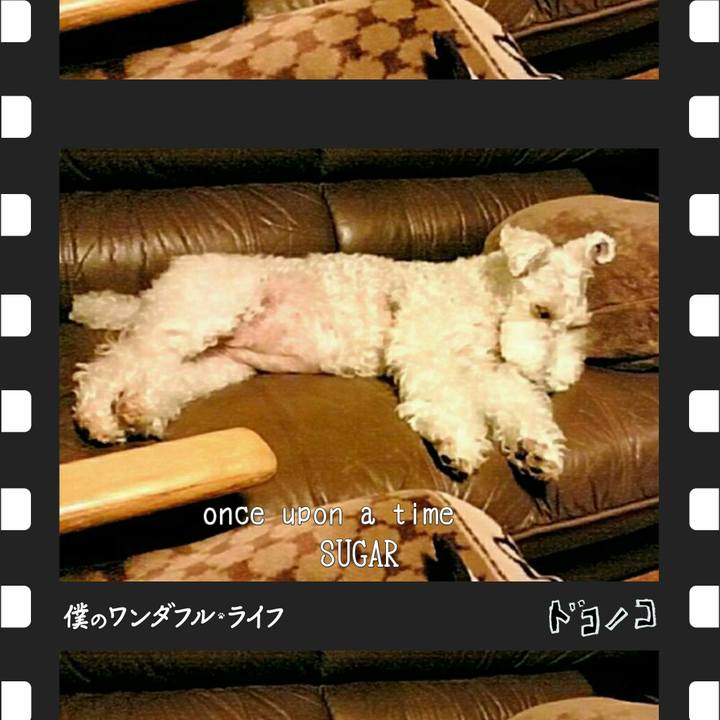 24a245fb 8276 4f5d bb55 bf894bfe8c11