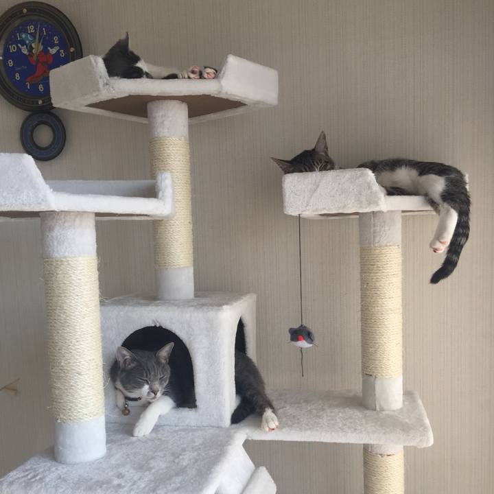 24a26e1f 8ad3 4e3a b34a a235d7ce8a34