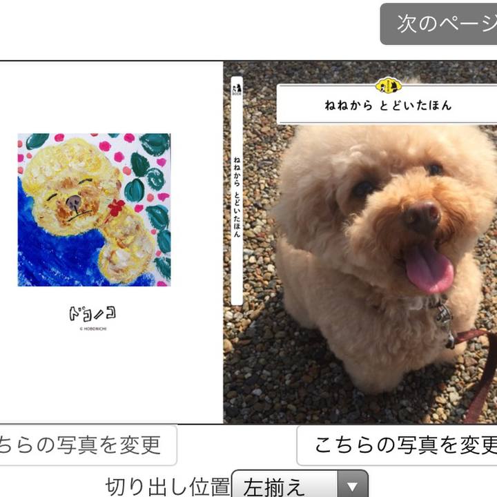 24a273f0 5a26 494e a873 7277fe93d48b