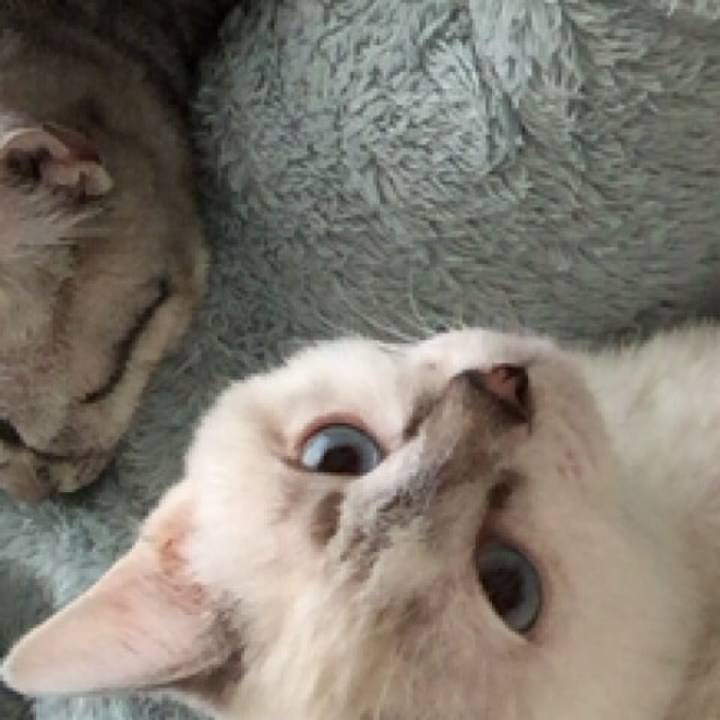 24a2874f f6f6 46aa a78b c859fa9ccb50