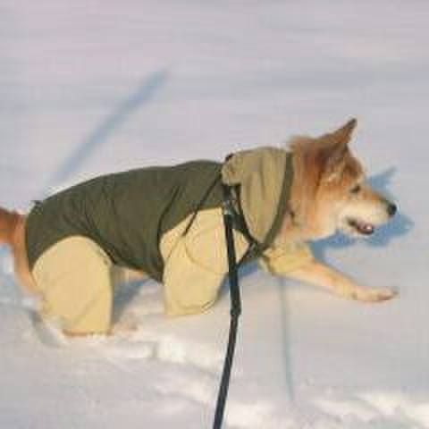 24a2a466 4a14 402c 9399 a0c9a7c77c25