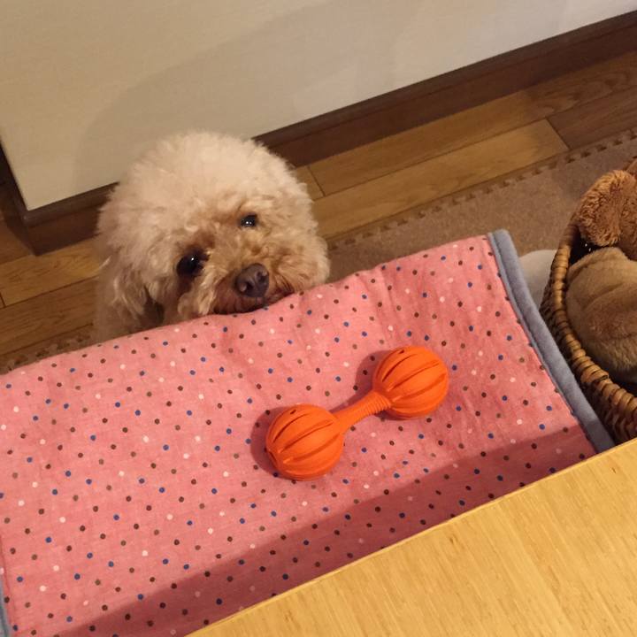 24a3284e 61af 42c6 9405 de3abc1f220a