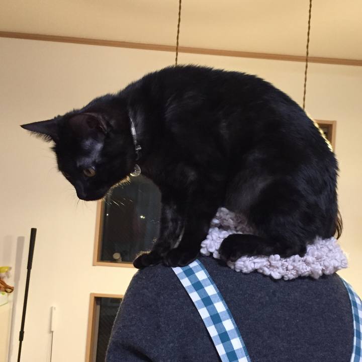 24a3a270 1587 4f95 991f 9d6aab717391