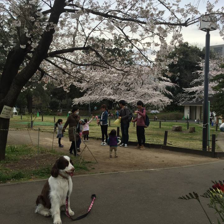 24a3a502 3b57 4622 a099 97db2bb8e7b5