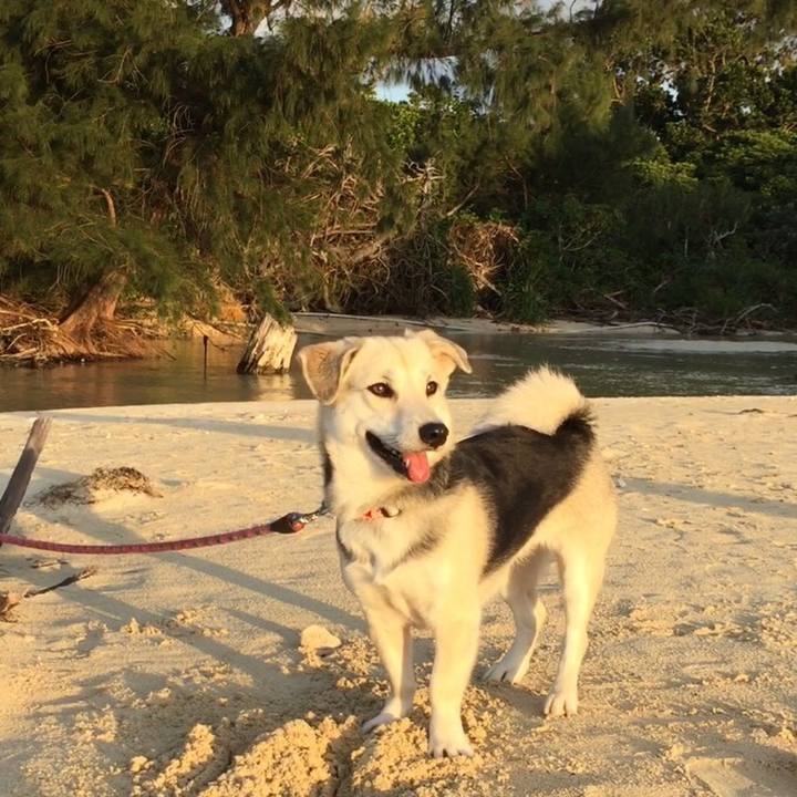 24a47904 9073 4d26 883e 07f8e06779ec