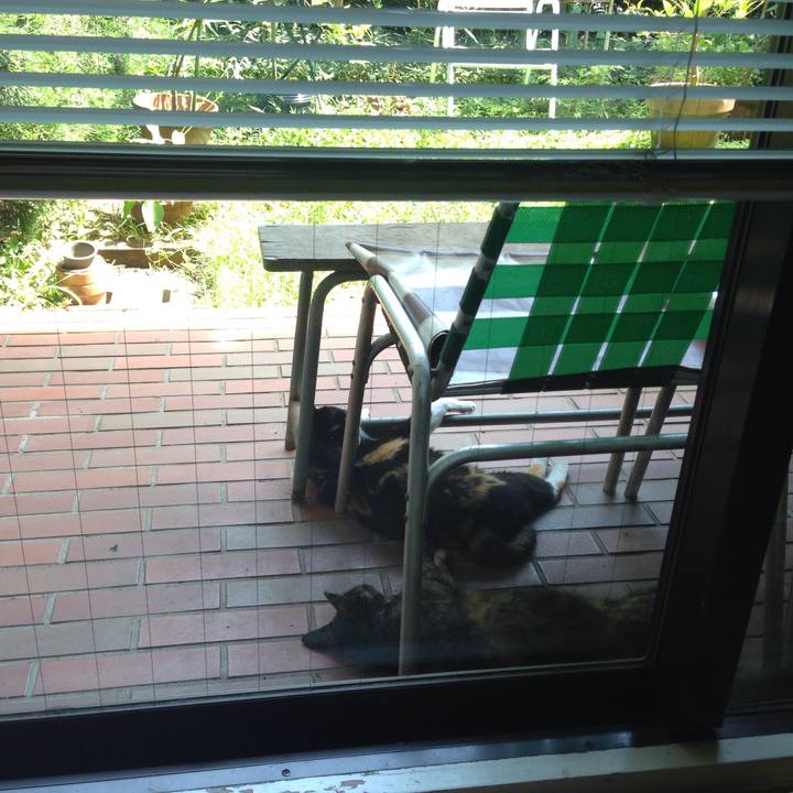 24a4801d 31ff 4ef0 b074 6a88d05f4f55