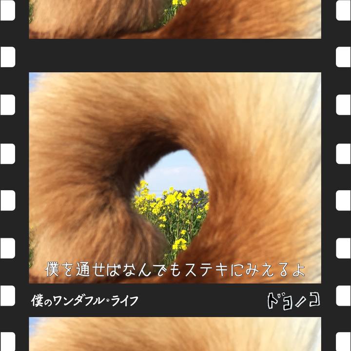 24a4f3c0 c540 426a 80d2 12520cf7649e