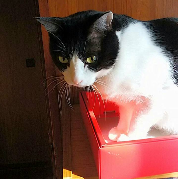 24a52a94 4392 42ee 8fd3 b07792a983f1