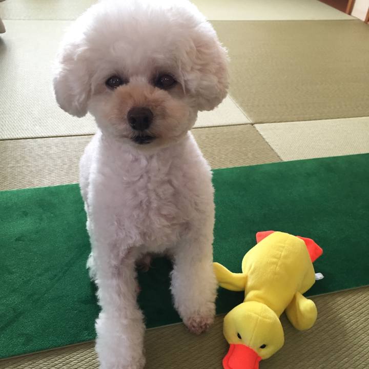 24a57741 0037 4eb8 8f12 aa493d36f529