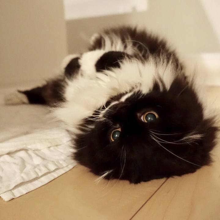 24a6279d 35e9 44ee b52b d9ad73c79121