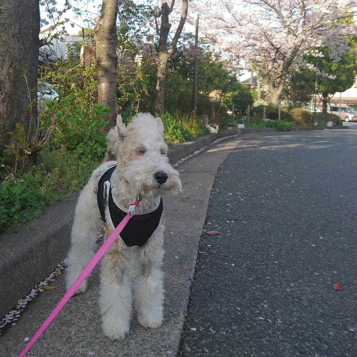 24a62b8d dbd7 4c1c ad0f 5892659d6ac6