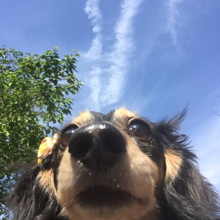 24a634a7 1492 4b9f 9130 cc976f5a6879