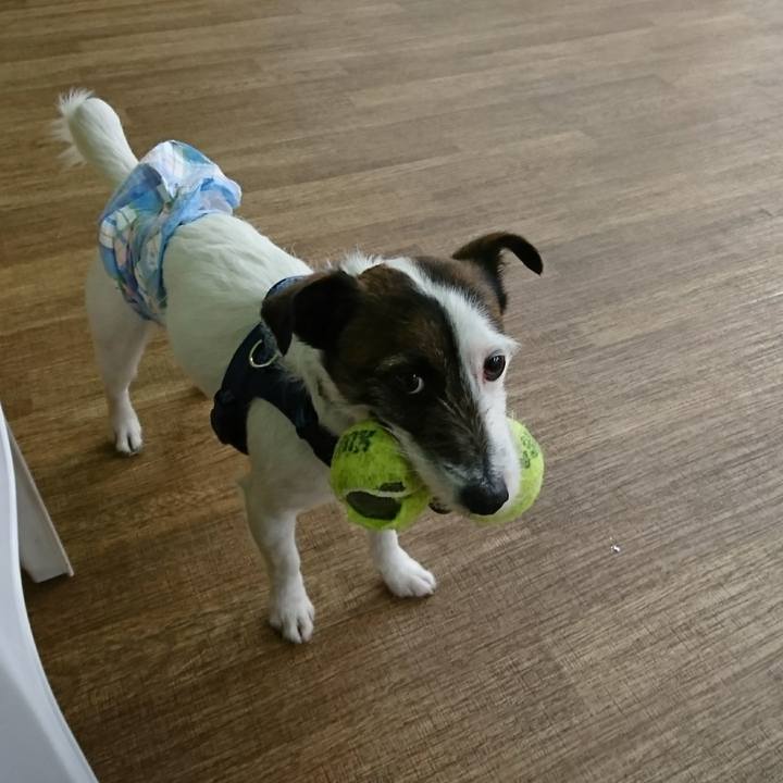 24a6bcb8 b4f1 4c98 ad4a 0f1942142656