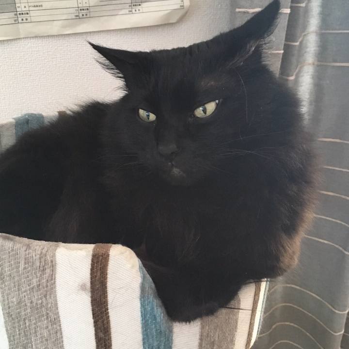 24a6fa4e a8ad 4726 a3fb 827c5ee3e646