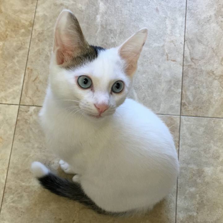 24a714c7 aaef 4d1d 8438 acf0387b01ce