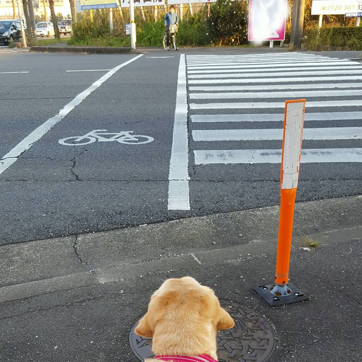 24a76ad8 2952 4972 a82a bd7a005da7b5