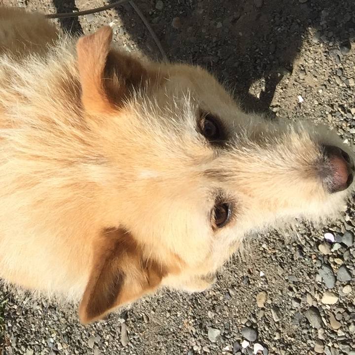 24a7b098 c2f6 4a8f a92f 7d33981eb7a6