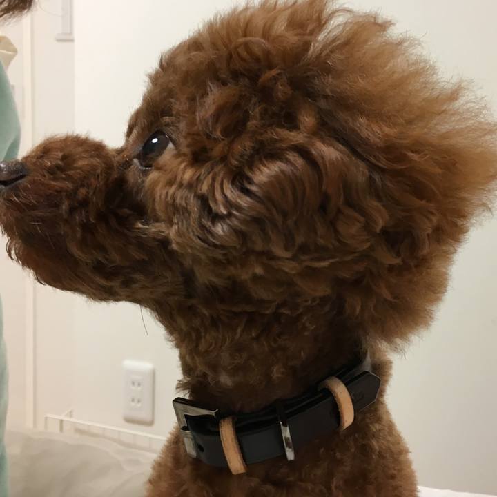 24a8a231 a566 48dd a42e 04cce95f5138