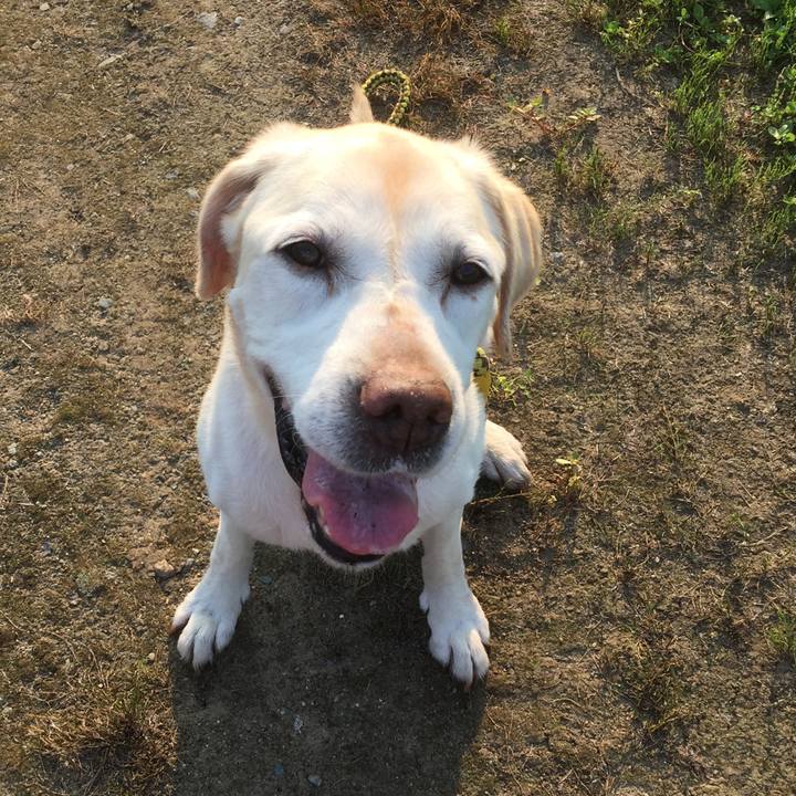 24a8da05 ce26 4454 af12 256150fb5abc