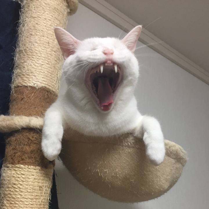 24a971f0 30e8 42a3 a8a7 7fac5a5a0df7