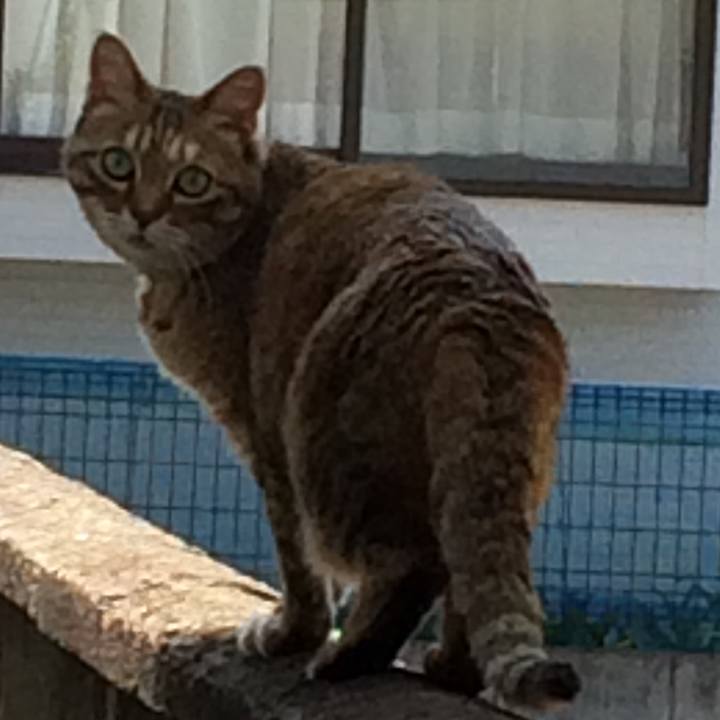 24a9b924 c8ea 4389 b38b 85c35e086f17