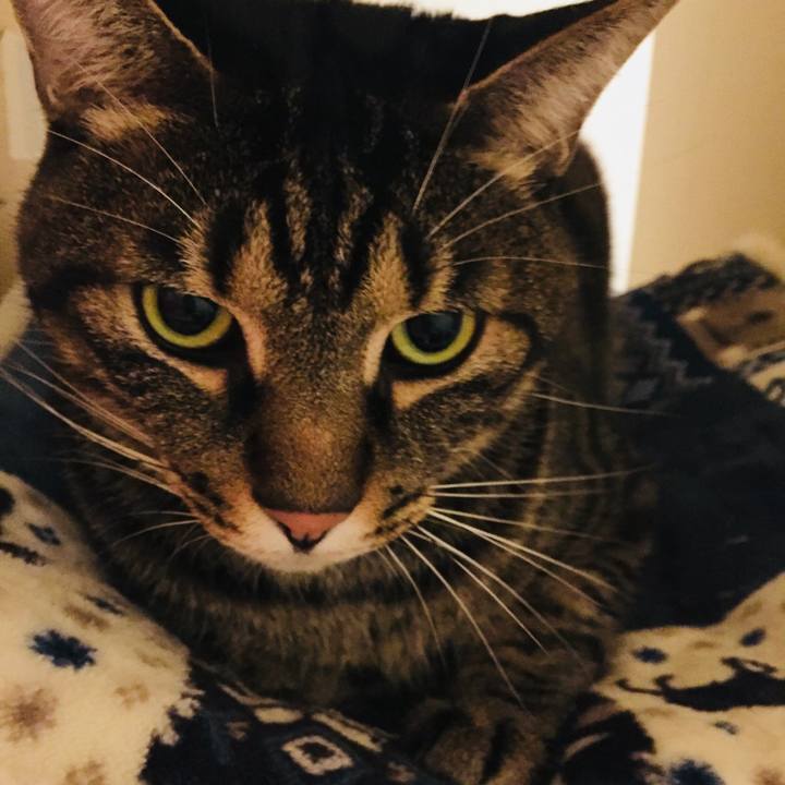 24a9d69f 705a 43f0 9183 5a932f762dfa