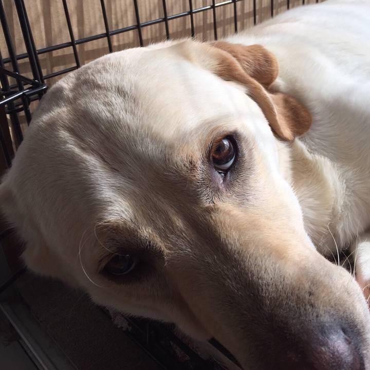 24aa8bcf 1bfb 49e6 afa7 bcc31304f04f