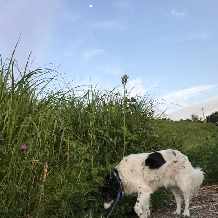 24aad9b7 88c2 465d a9ad f1dc199e28d0