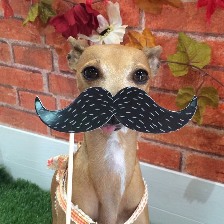 24ab0aef 81d3 483c 9343 77c0089b02b2