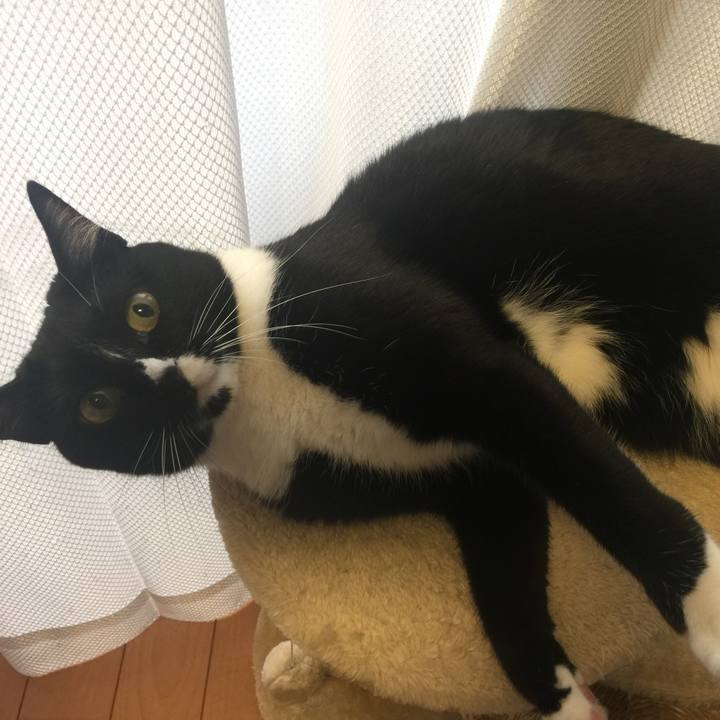 24ab1493 ed83 40fd 96b7 849c1df4ccbb