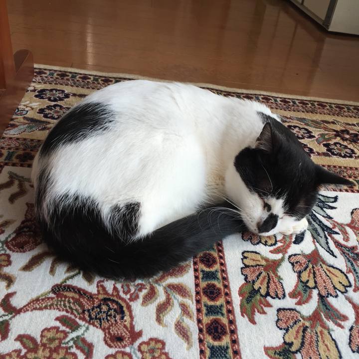 24ab21a8 3c71 4430 b8af 20b3b471e716