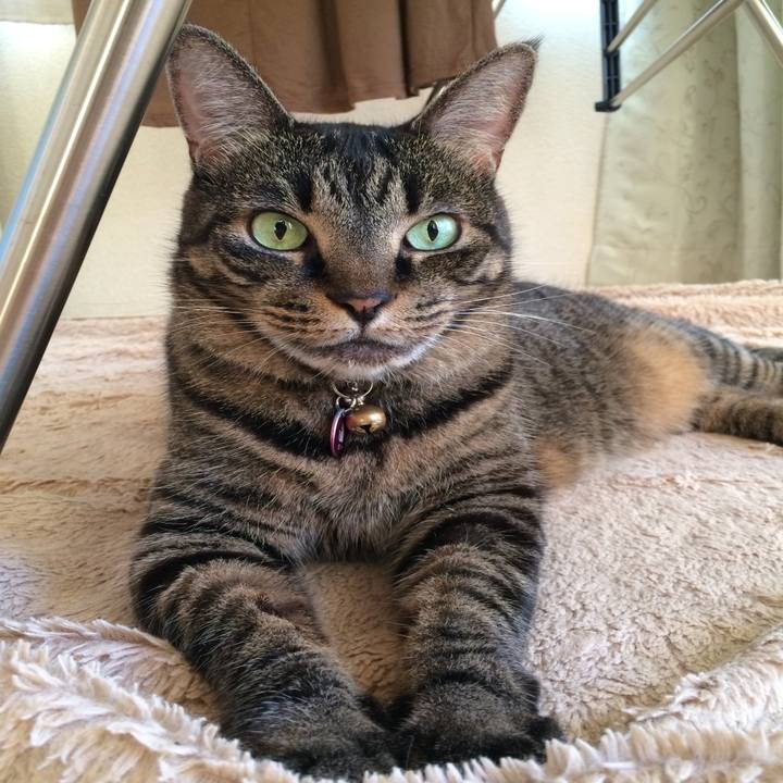 24abb907 a355 498a bee3 fec6a1bf853b