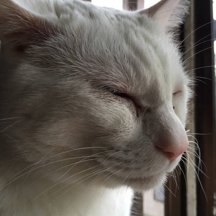 24ac09ba 7e92 4abf 9017 9a03127c5dbe